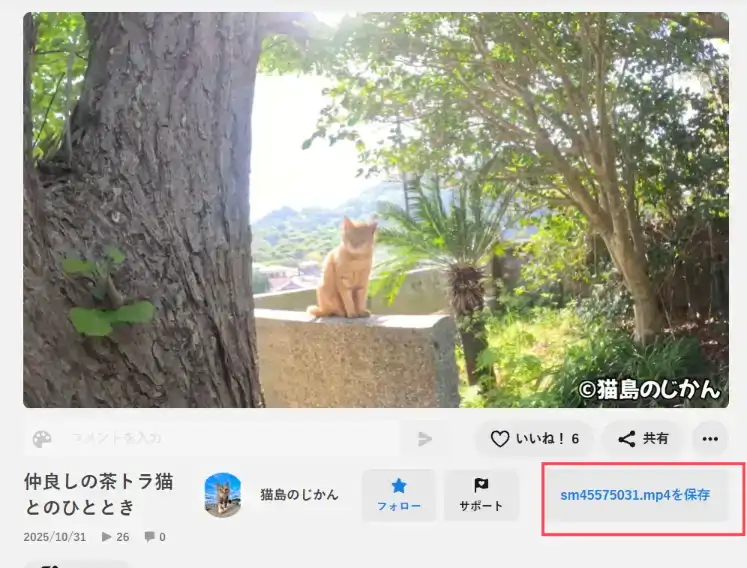 Nico Downloader Usage Step 2 Nico Downloader Usage Step 2