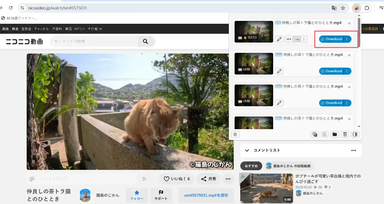 Video DownloadHelper Installation Step 3 Video DownloadHelper Installation Step 3