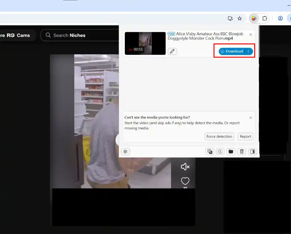 Video DownloadHelper installation step 3 Video DownloadHelper installation step 3