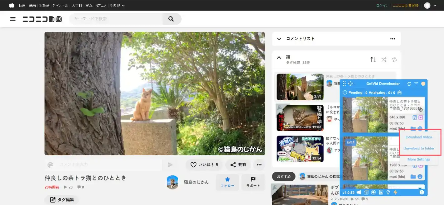 Getvid Usage Step 4 Getvid Usage Step 4
