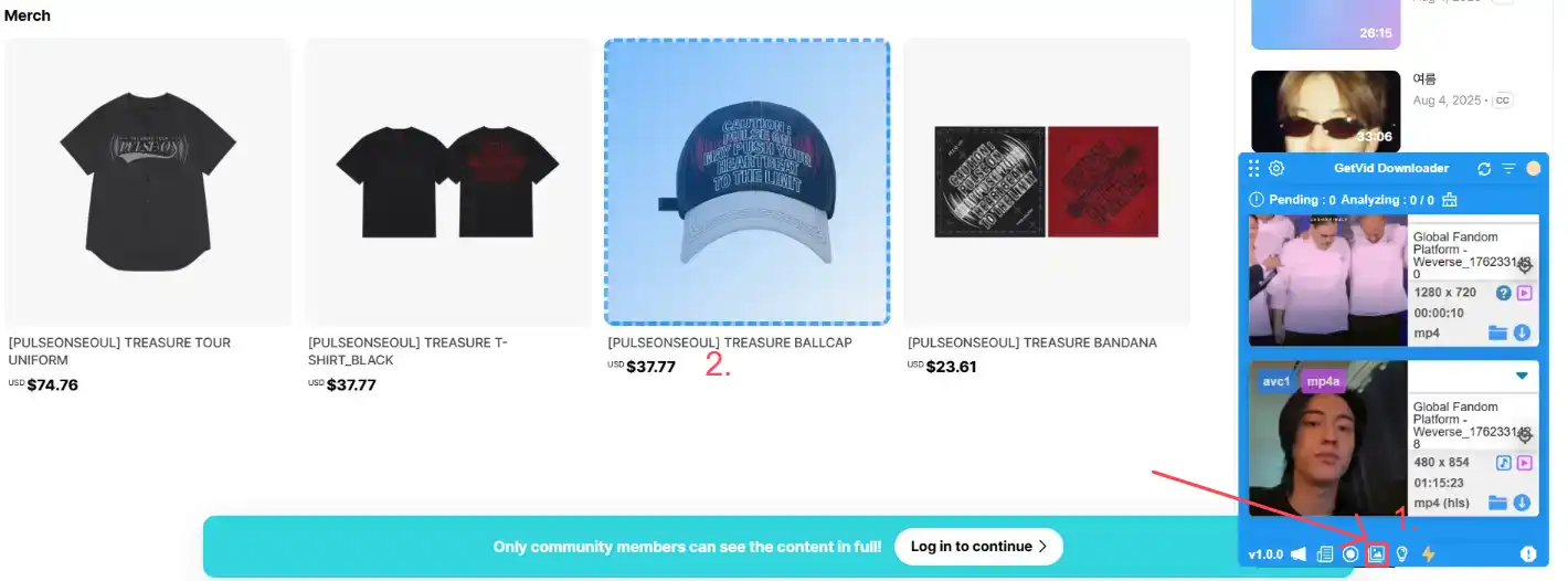 Getvid Usage Step 6 - Download Images