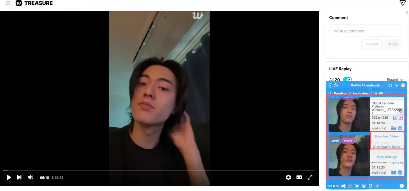 Getvid Usage Step 4 - Download Video